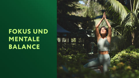 Focus & Mental Balance
