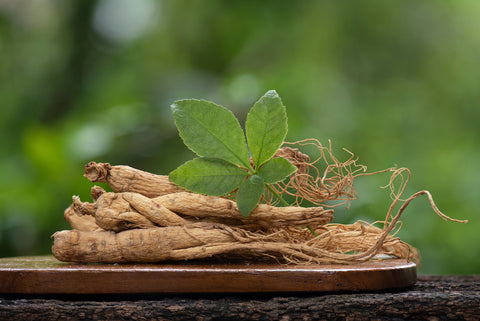 Hochdosierter Ginseng-Extrakt
