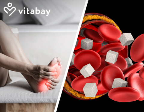 In jeder Körperzelle zu finden