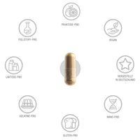 Pantothensäure 500 mg - 200 vegane Kapseln