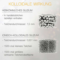 Kolloidales Eisen 50 PPM - Reinheitsstufe 99,99% - 500 ml