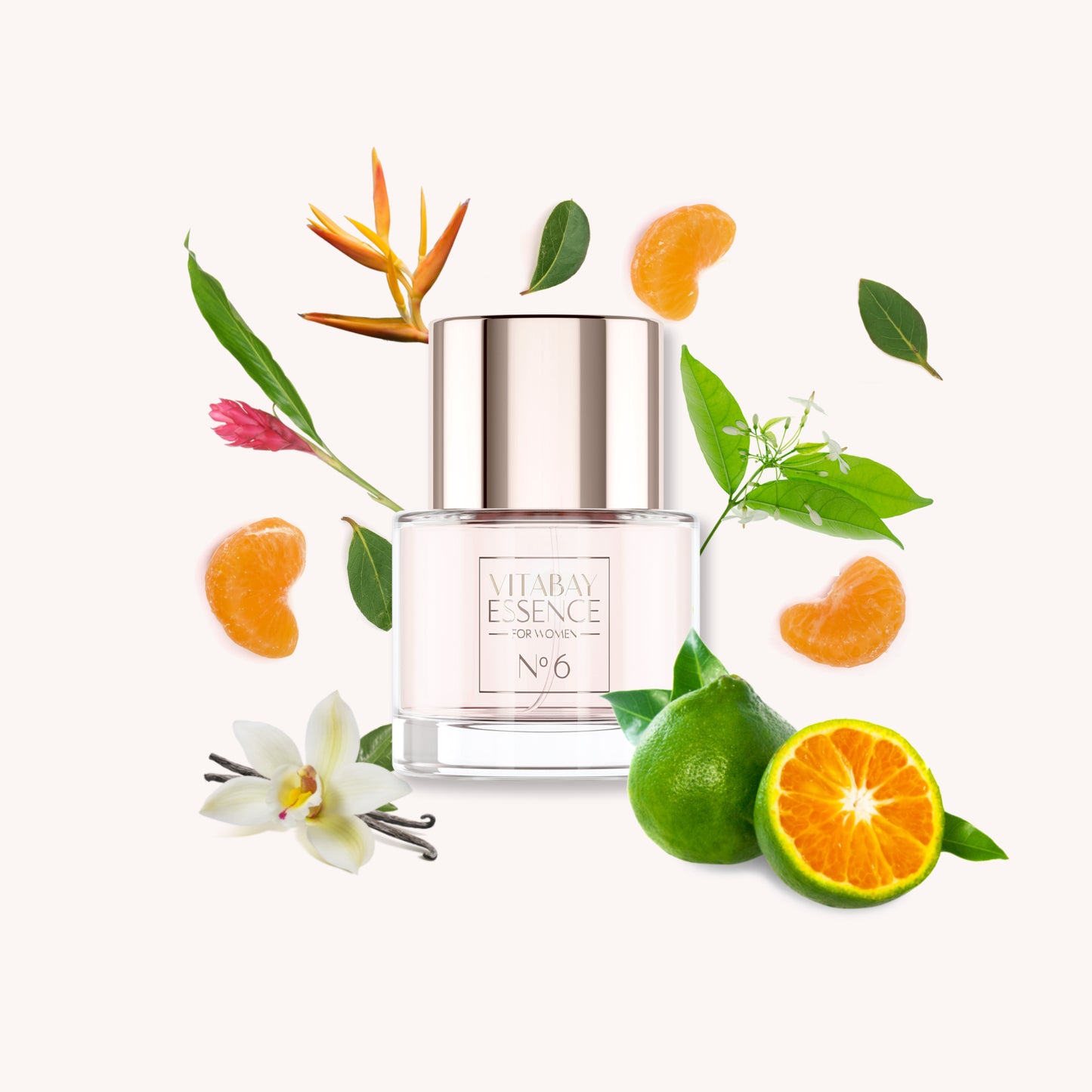 Vitabay Essence Fine Fragrance for Women No. 6 - 50 ml – Eau de Parfum 10% Parfümöl Vaporisateur / S