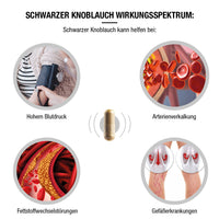 Schwarzer-Knoblauch-Extrakt 100 mg - 90 vegane Kapseln