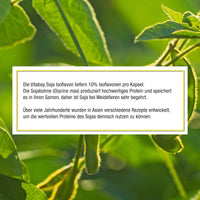 Soja-Isoflavon mit 10% Isoflavonen pro Kapsel - 90 vegane Kapseln