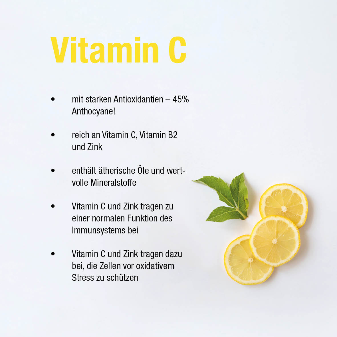 Immun Boost - mit Holunderbeeren Extrakt 200mg, Vitamin C und Zink - 120 vegane Kapseln