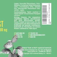 Immun Boost - mit Holunderbeeren Extrakt 200mg, Vitamin C und Zink - 120 vegane Kapseln