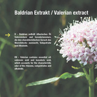 Baldrian Extrakt 2000 mg - 90 vegane Kapseln