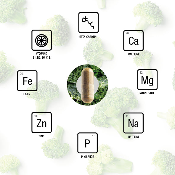 Brokkoli Extrakt mit Sulforaphan 500 mg - 180 vegane Kapseln