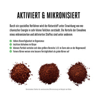 Brokkoli Extrakt mit Sulforaphan 500 mg - 180 vegane Kapseln