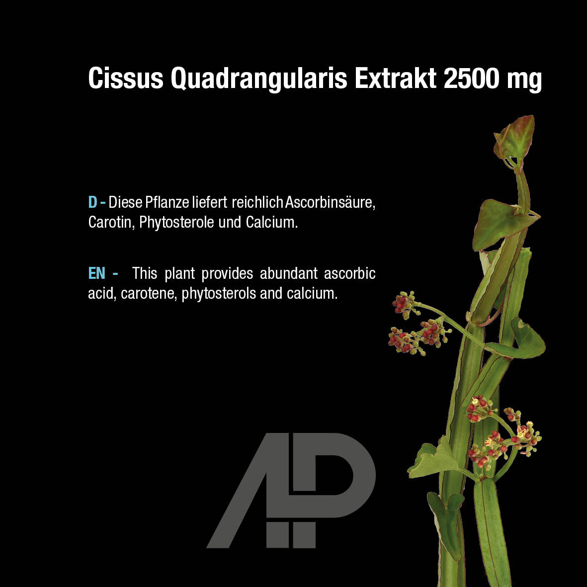 Cissus Quadrangularis Extrakt 2500 mg - 90 vegane Kapseln