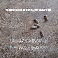 Cissus Quadrangularis Extrakt 2500 mg - 90 vegane Kapseln