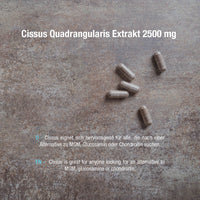 Cissus Quadrangularis Extrakt 2500 mg - 180 vegane Kapseln