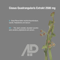 Cissus Quadrangularis Extrakt 2500 mg - 90 vegane Kapseln
