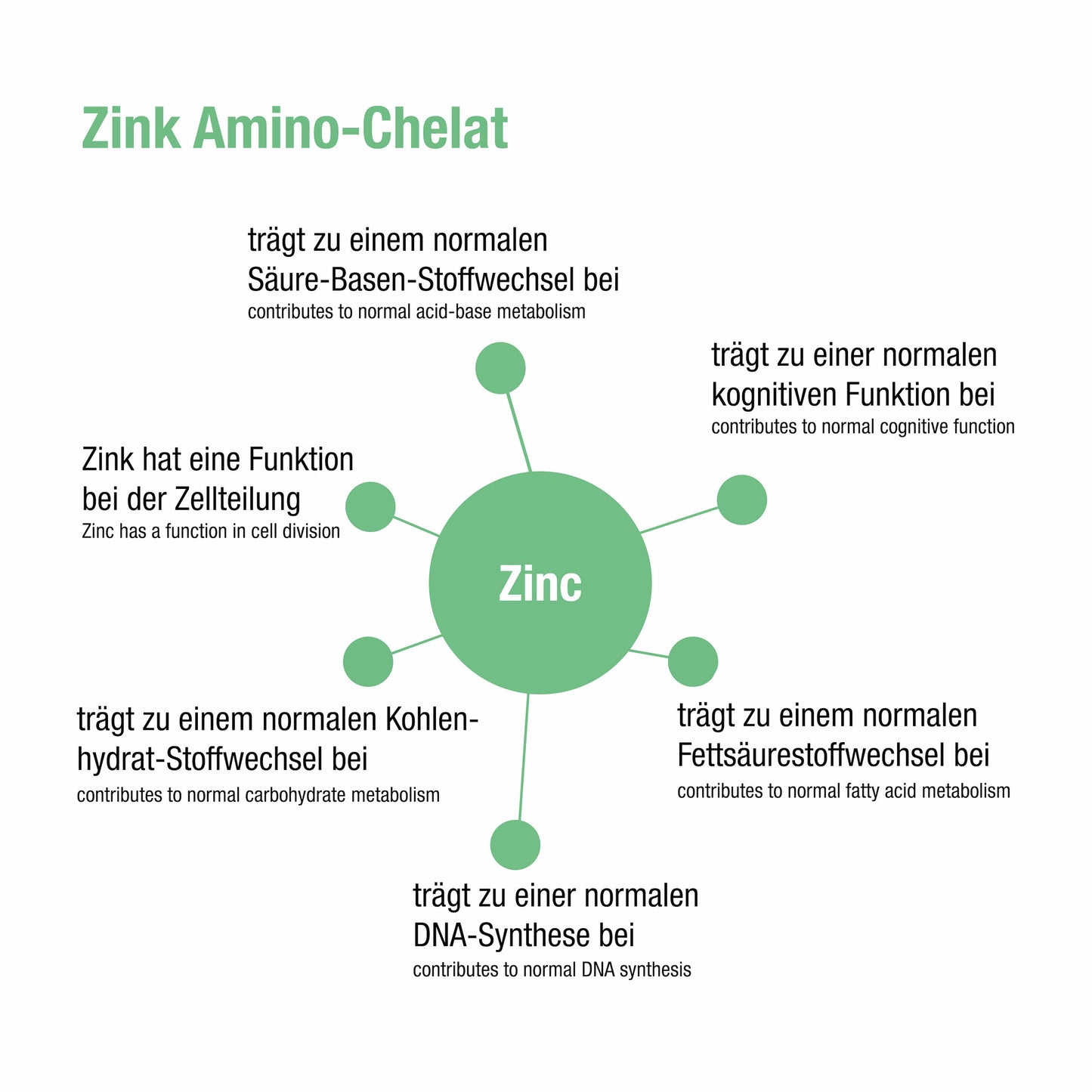 Zink Amino-Chelat - 240 vegane Tabletten