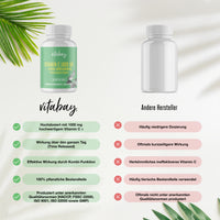 Vitamin C 1000 mg + Bioflavonoide (Time Released ) - 100 vegane Tabletten