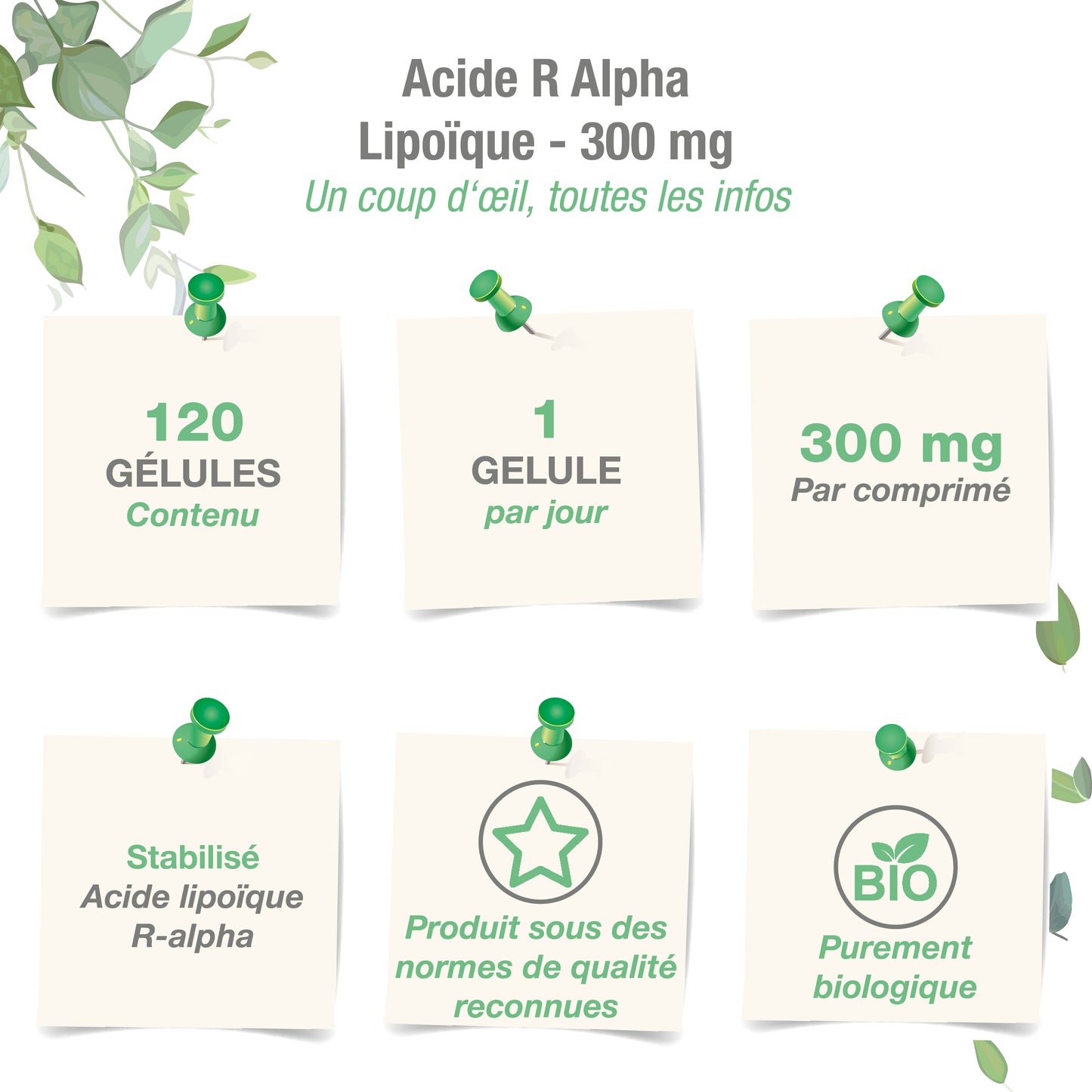 R-Alpha Liponsäure 300 mg 120 Kapseln