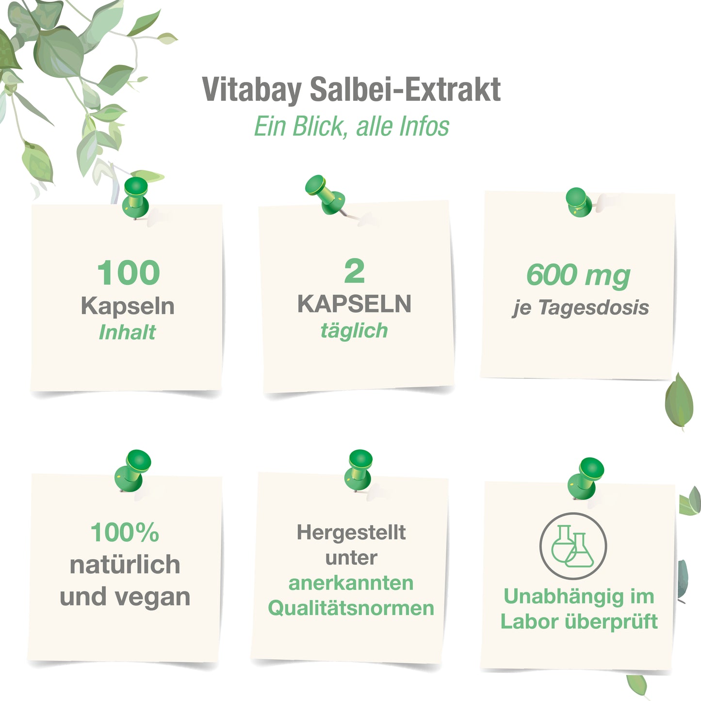 Salbei Extrakt  600 mg - 100 vegane Kapseln