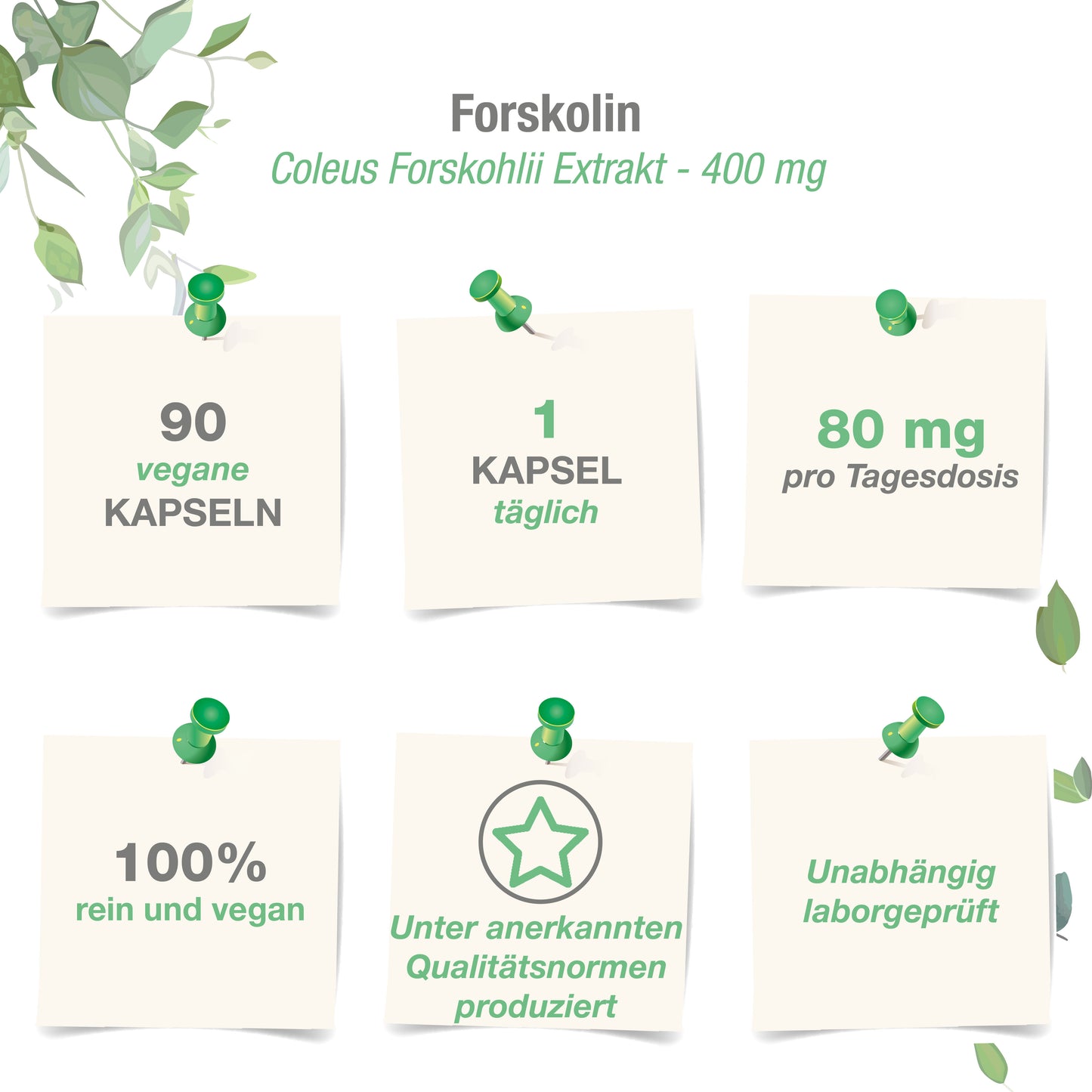 Forskolin 400 mg - 90 vegane Kapseln