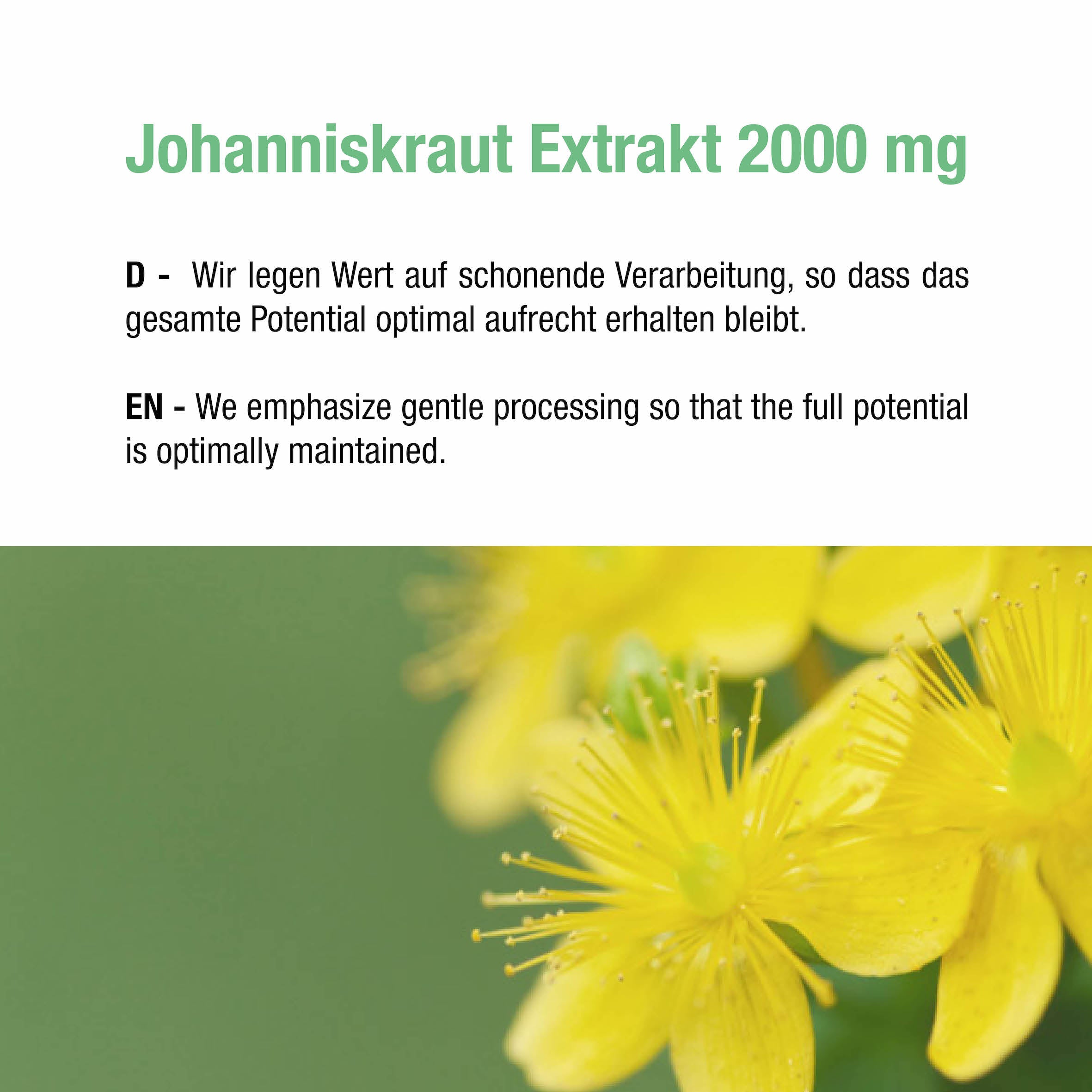 Johanniskraut Extrakt 2000 mg - 90 vegane Kapseln
