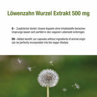 Löwenzahn Wurzel Extrakt 500 mg - 120 vegane Kapseln