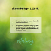 Vitamin D3 Depot 5.000 I.E. - 100g veganes Pulver