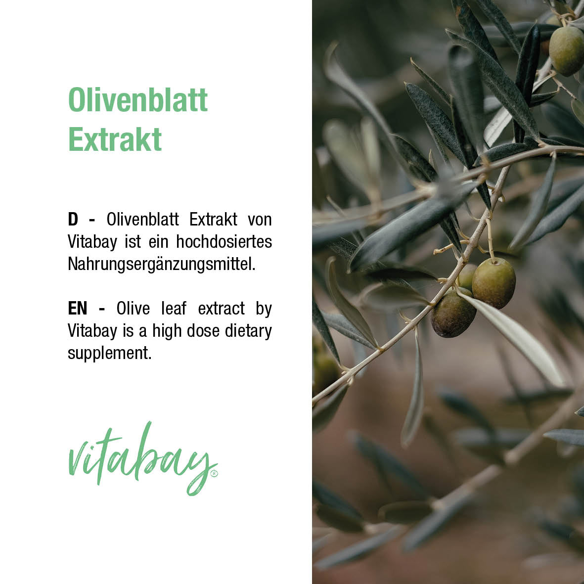Olivenblatt Extrakt 1200 mg - 90 vegane Kapseln