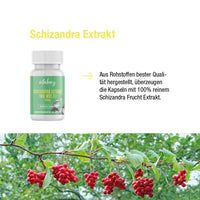 Schizandra Extrakt 500 mg - 90 vegane Kapseln
