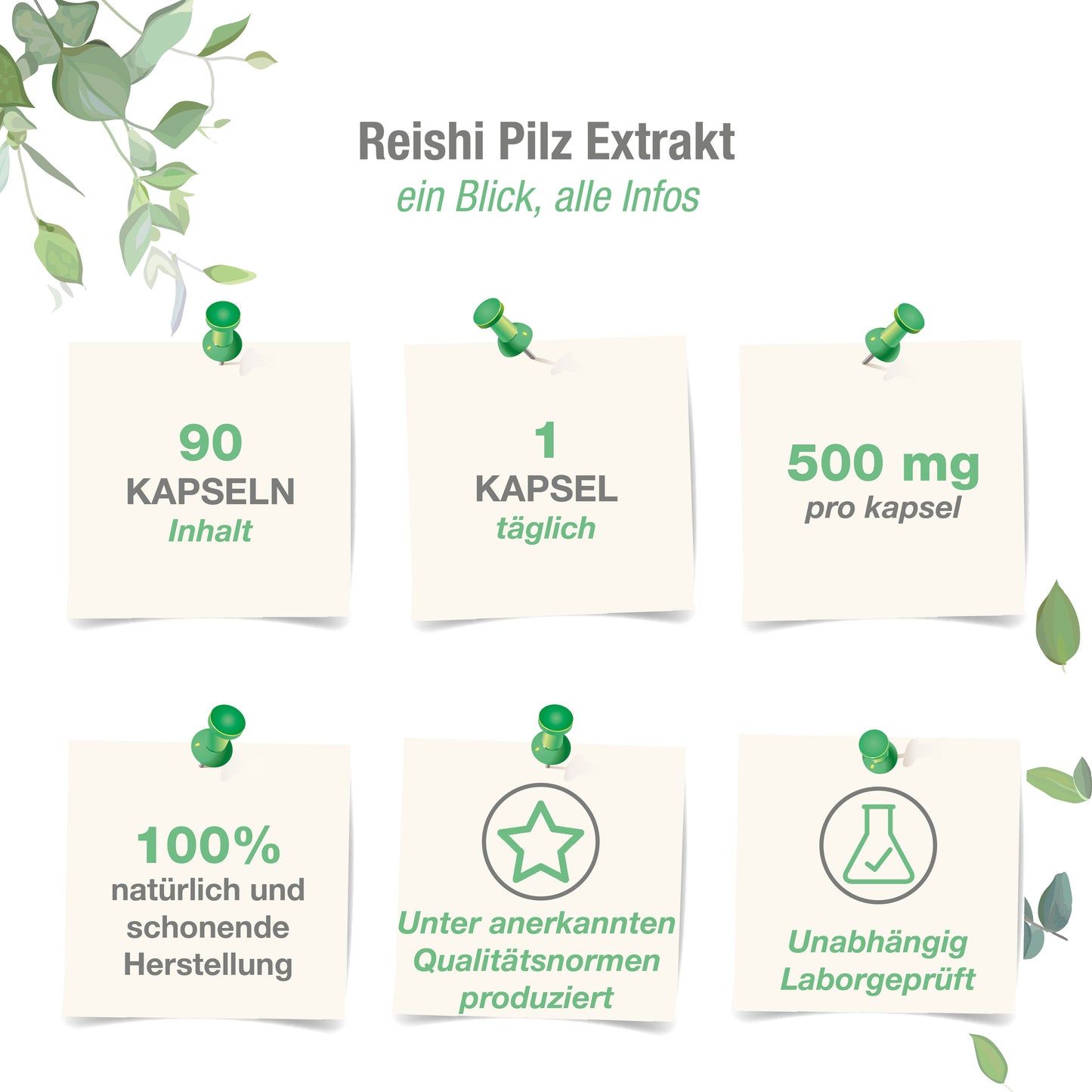 Reishi Pilz Extrakt  500 mg - 90 vegane Kapseln