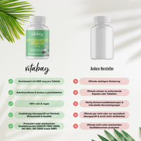 Vitamin B12 Depot 5000 mcg 360 Vegane Lutschtabletten