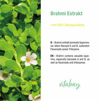 Brahmi Extrakt 2000 mg - 150 vegane Kapseln