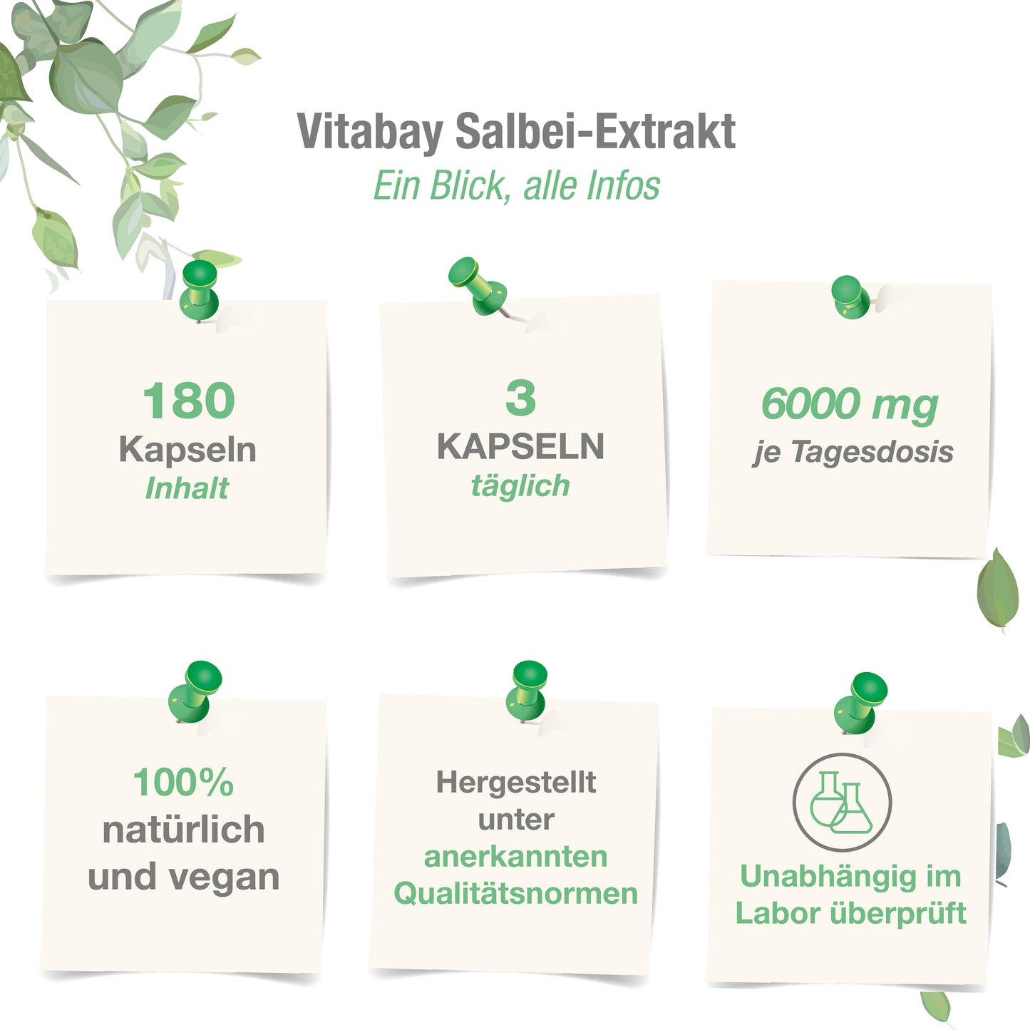 Salbei Extrakt 2000 mg  - 120 vegane Kapseln